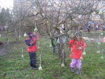 DSC05224.JPG